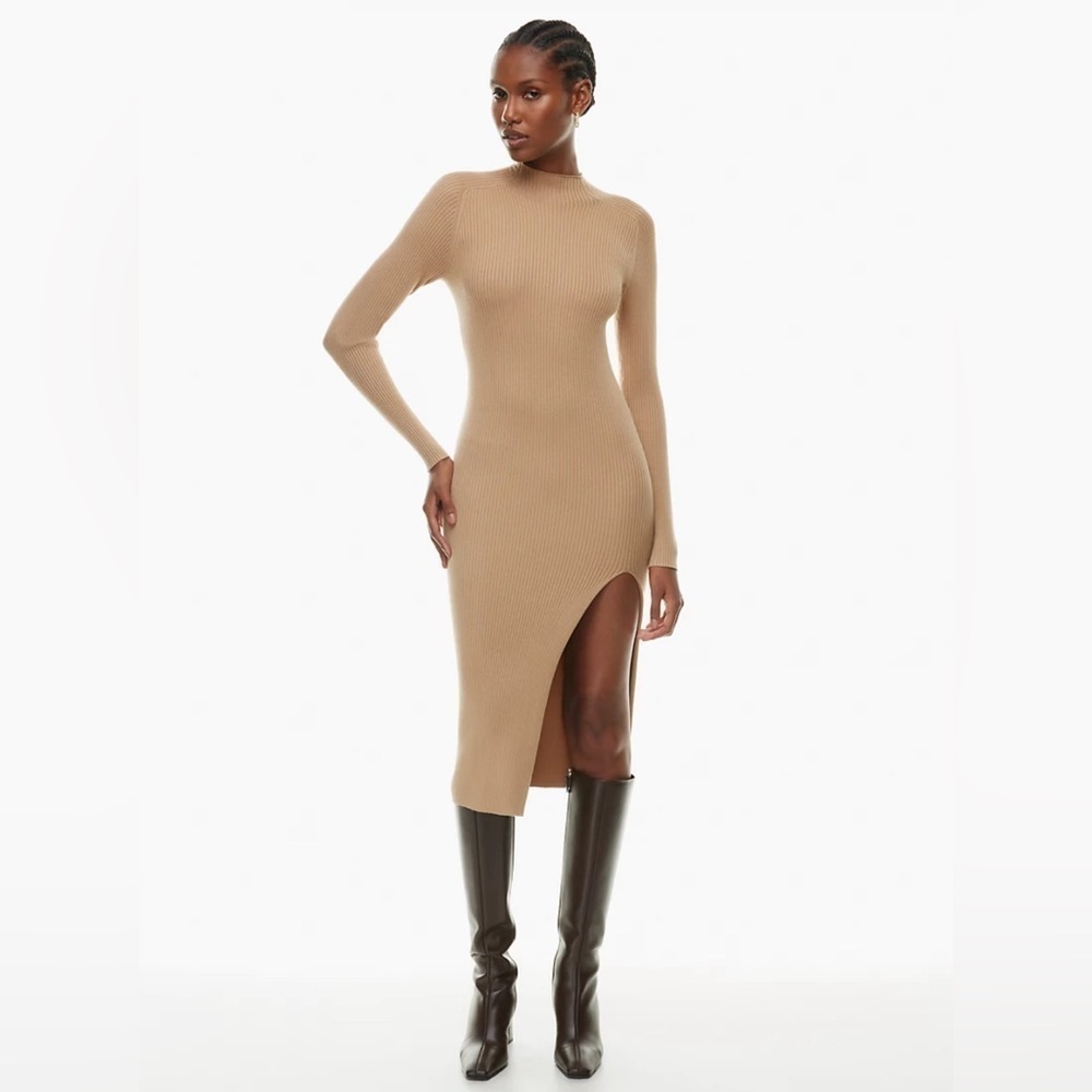 Aritzia Wilfred Alchemy Dress